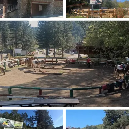 Anna Palumbo Sila Apartament *