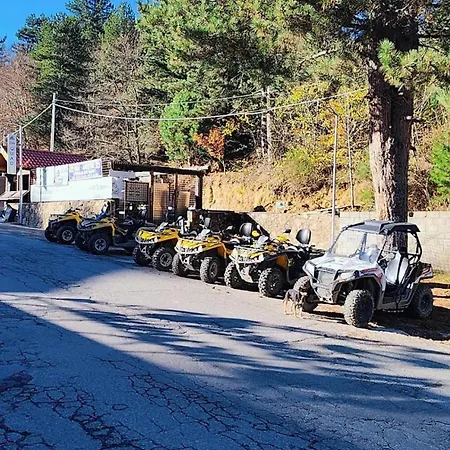 Anna Palumbo Sila Apartament