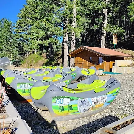 Anna Palumbo Sila * Caprara (Crotone)